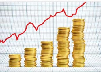 Robust policies needed to attract FDI – Punch