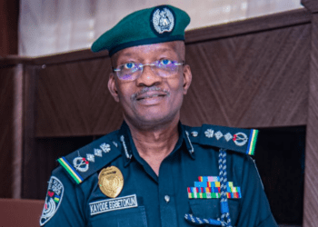 IG condemns rise in jungle justice, orders probe of police officers’ killing