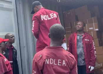 NDLEA tightens noose on drug barons, cartels