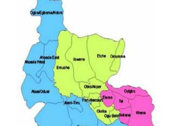 APP wins 22 out of 23 chairmanship seats in Rivers LG poll