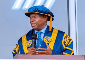 How I got permit for $2bn Nigeria’s biggest power plant — Davido’s father