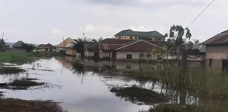Surging River Benue displaces Makurdi residents, submerges houses, farmlands