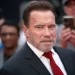 U.S elections: Schwarzenegger endorses Harris for presidency