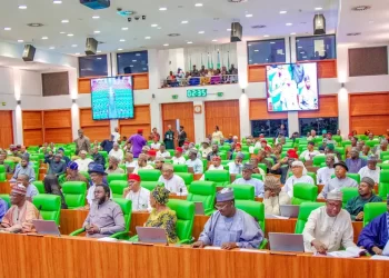 Reps reject bill seeking to expand Islamic law in 1999 constitution