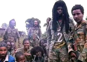 How herdsmen invited new terrorist group, Lakurawa, to Sokoto