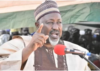 Insecurity: We’re taking measures to crush Lakurawa terror group – Fed Govt