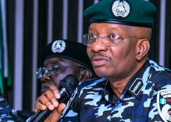 Police IG bars Amotekun, vigilante from Ondo poll