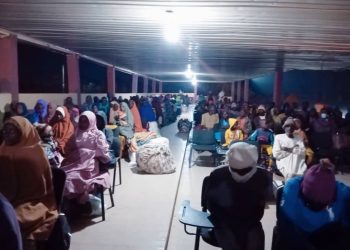 Niger Republic repatriates 310 Nigerians