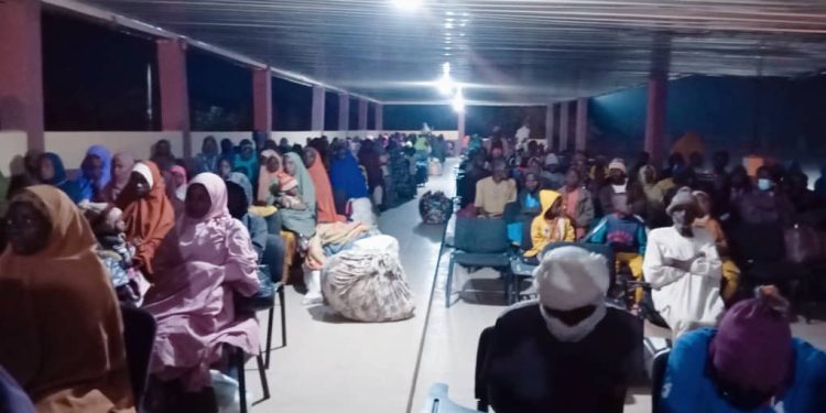 Niger Republic repatriates 310 Nigerians