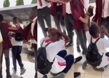Bullying in schools – Punch