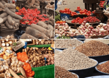 Transporters warn Nigerians to expect skyrocketing food prices