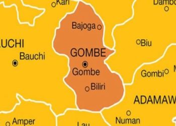 Truck runs into Christmas procession in Gombe