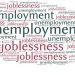 What manner of self-employment? – Punch