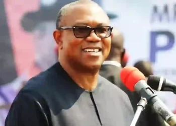 Peter Obi backs tax reform, advises FG on process