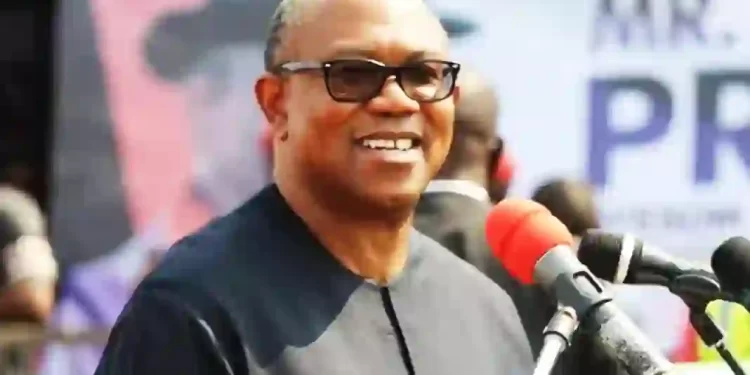 Peter Obi backs tax reform, advises FG on process