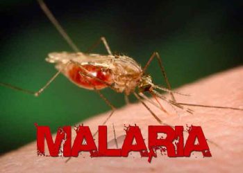 Nigeria and the malaria epidemic – Punch
