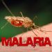 Nigeria and the malaria epidemic – Punch