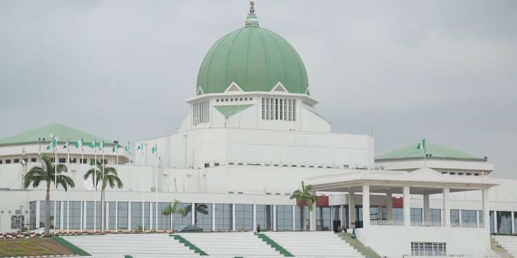 Is the National Assembly redeemable? – Punch