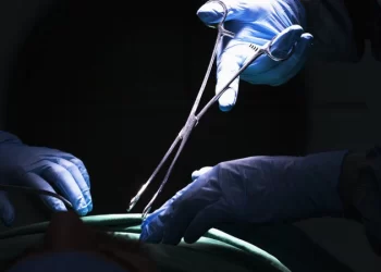 Alarm as cartels target teenage girls for organ harvesting