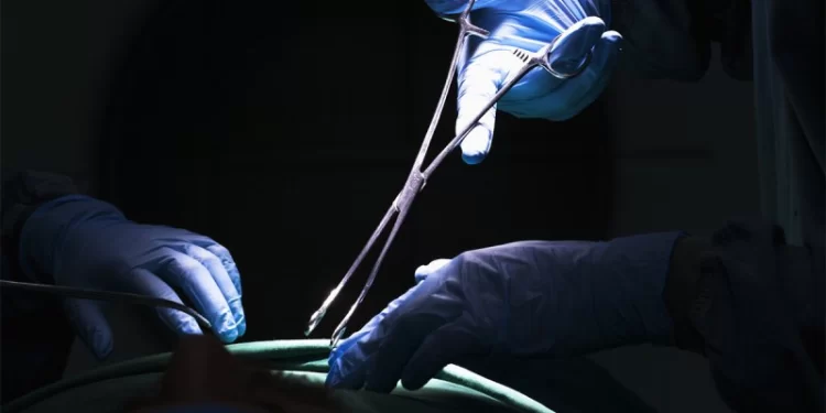 Alarm as cartels target teenage girls for organ harvesting