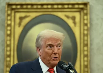 Second US judge blocks Trump’s birthright citizenship order