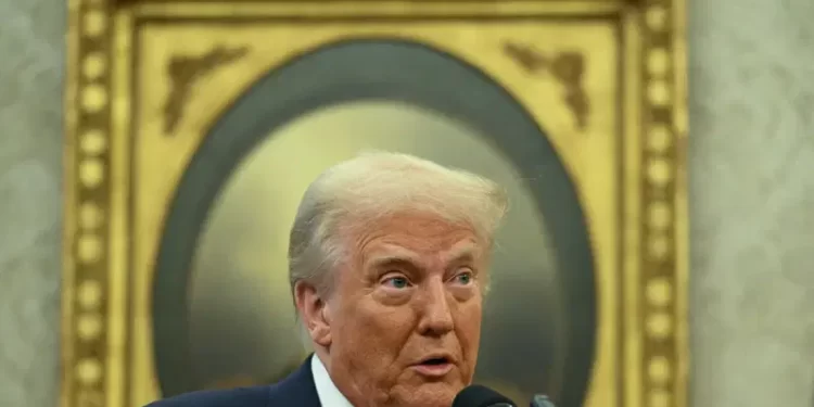 Second US judge blocks Trump’s birthright citizenship order