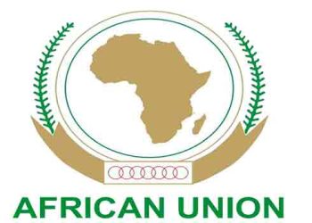 AU, stop the DR Congo carnage – Punch