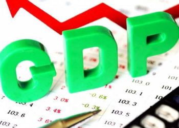 Nigeria’s shrinking GDP per capita – Punch