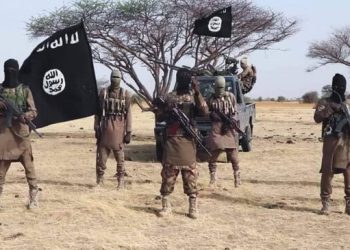 South-West governors plan joint operation against ISWAP terrorists