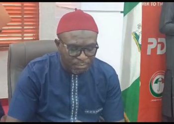 PDP affirms Udeh-Okoye as national secretary