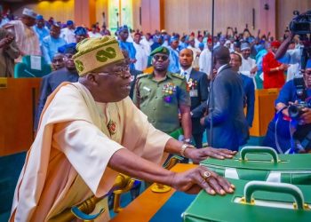 2025 budget: Fiscal discipline imperative to calm inflation – Punch