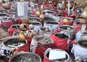 Stakeholders blame get-rich-quick syndrome for rising ritual killings