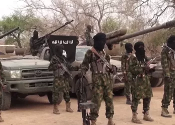 Boko Haram abducts army varsity Professor, others in Borno