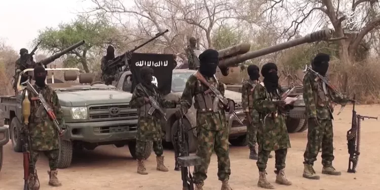 Boko Haram abducts army varsity Professor, others in Borno