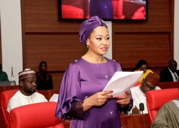 Six-month suspension: Natasha heads for court as NBA, others knock Senate