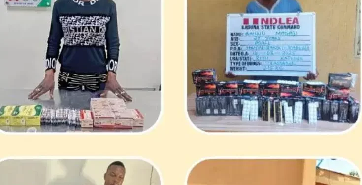 NDLEA foils drug shipments to US, Saudi Arabia, others, arrests two suspects