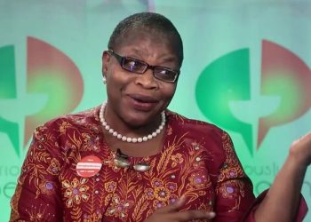 Natasha: I’m pleased with my verbal exchange with Sen. Nwebonyi – Ezekwesili