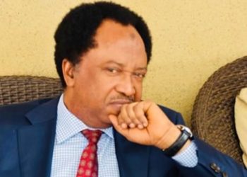 Why I returned to APC – Shehu Sani