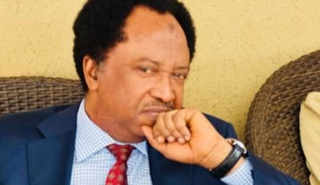 Why I returned to APC – Shehu Sani