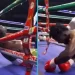 Tragedy as Nigerian boxer Olanrewaju collapses, dies during fight