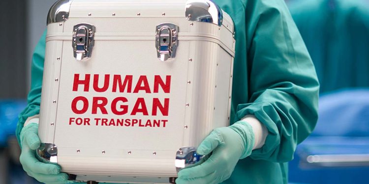 FG introduces guidelines to regulate organ, tissue transplant