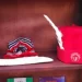 Abia traditional rulers abolish Eze Ndigbo titles in diaspora