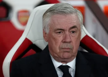 Carlo Ancelotti agrees Brazil deal