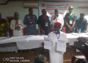 Anambra Guber: Moghalu emerges Labour Party candidate