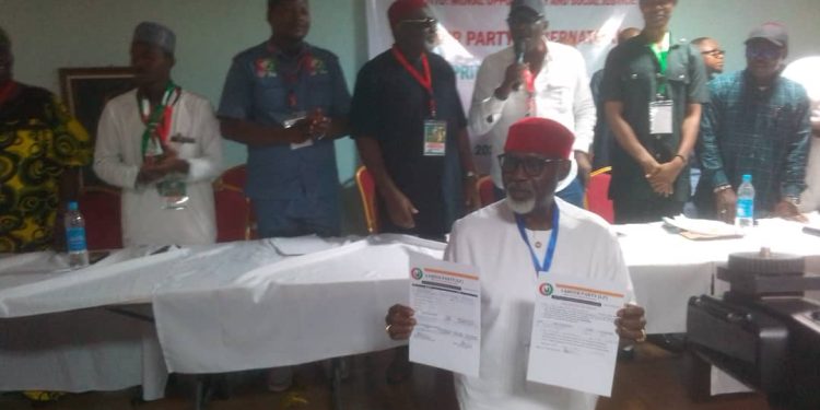 Anambra Guber: Moghalu emerges Labour Party candidate