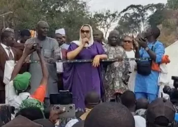 Homecoming: I did not break any law – Natasha