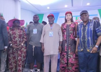 Anambra 2025: Ukachukwu emerges APC guber candidate