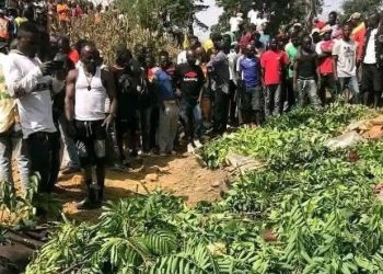 Benue, Plateau killings: Gov. Alia threatens visitors, Tinubu gives Mutfwang marching orders as gunmen wipe out family of 8