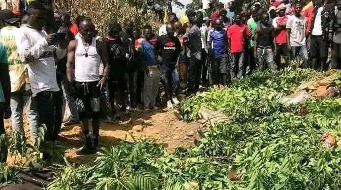 Benue, Plateau killings: Gov. Alia threatens visitors, Tinubu gives Mutfwang marching orders as gunmen wipe out family of 8