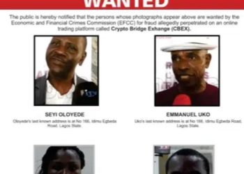 Wanted CBEX promoter surrenders to EFCC